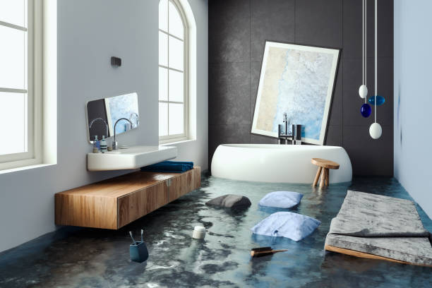 Best Professional water damage repair  in Seneca, KS