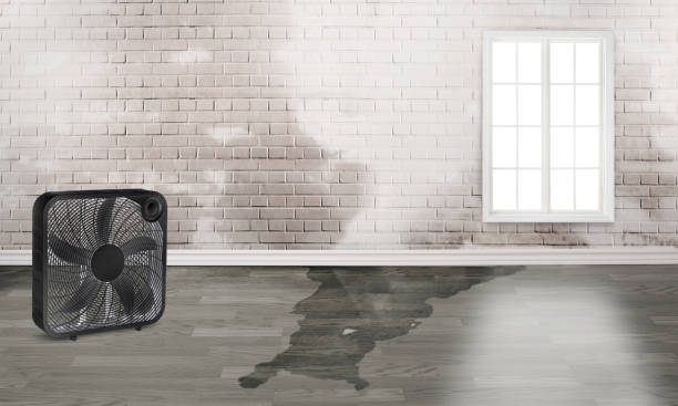  Seneca, KS Water damage restoration Pros