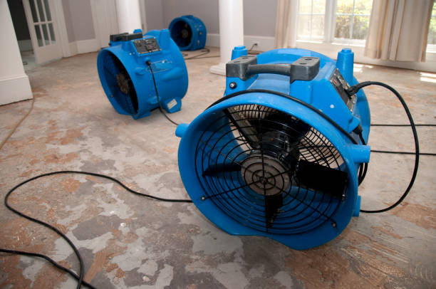Trusted Seneca, KS Water damage restoration Experts