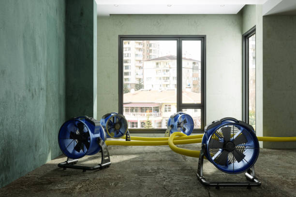 Best Water damage repair service  in Seneca, KS